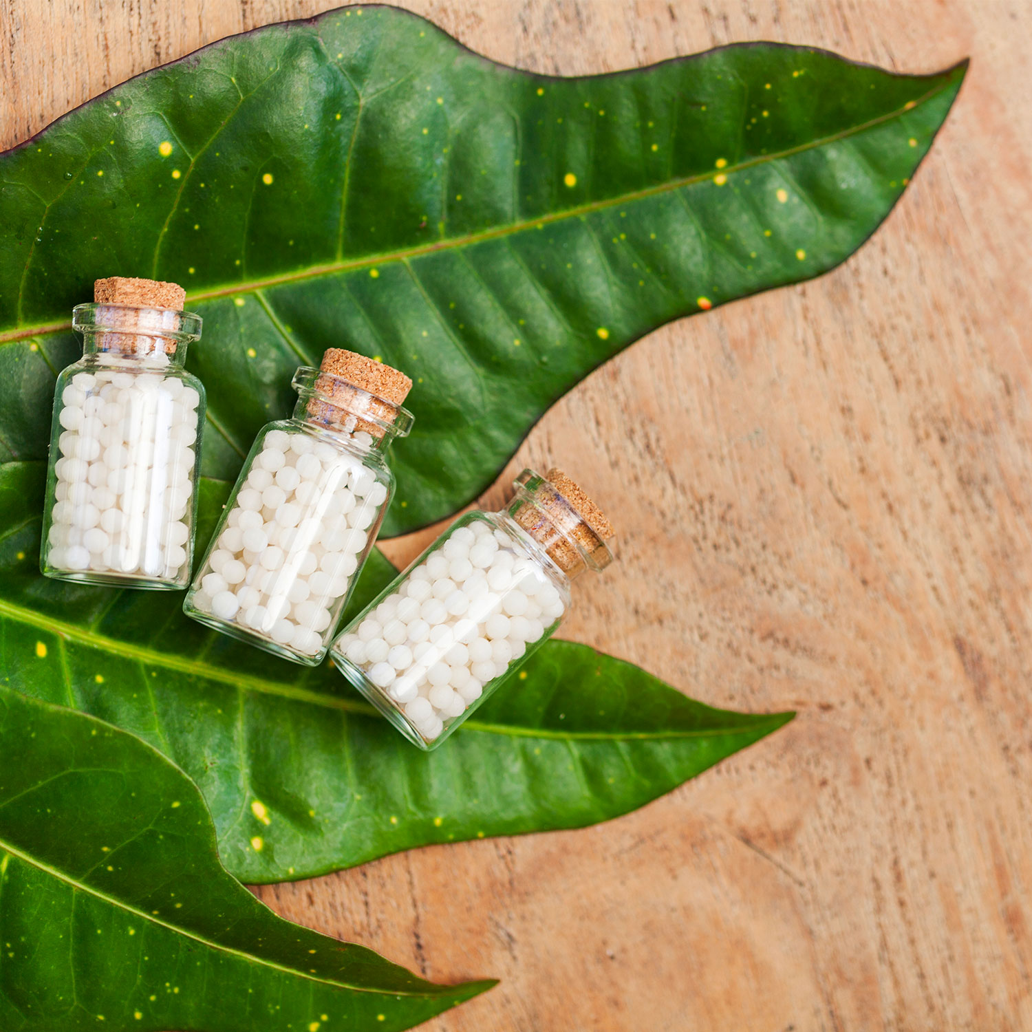 produits-homeopathiques-pharmacie-de-beauvoir-sur-niort produits-homeopathiques-pharmacie-de-beauvoir-sur-niort